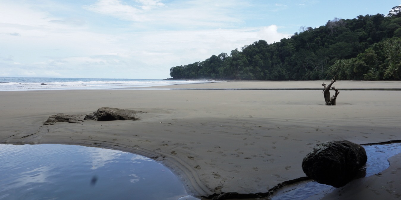 arco beach playa uvita coasta rica